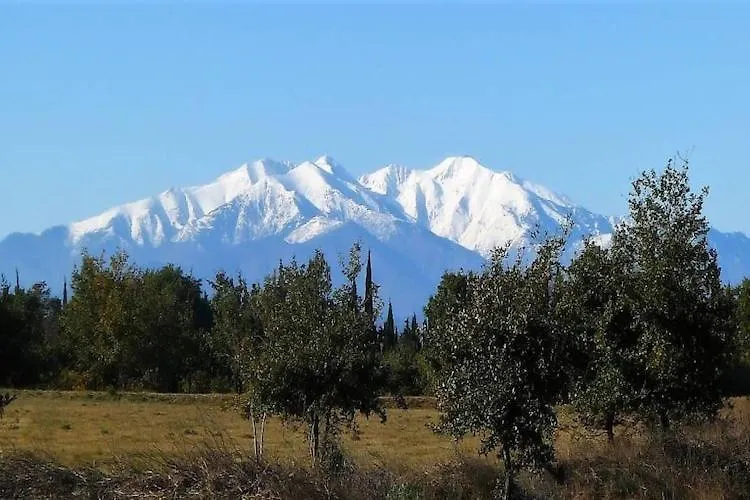 Very Spacious And Luxurious Holiday Home On Quiet Estate 1880 With Pool Buzon